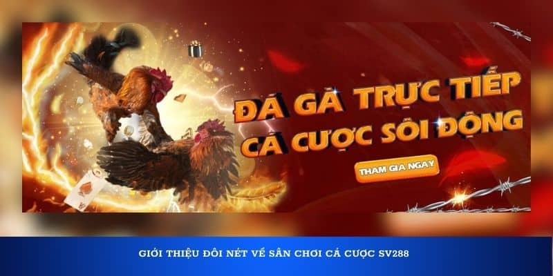 Những sự thật ít biết về sân chơi cá cược SV288