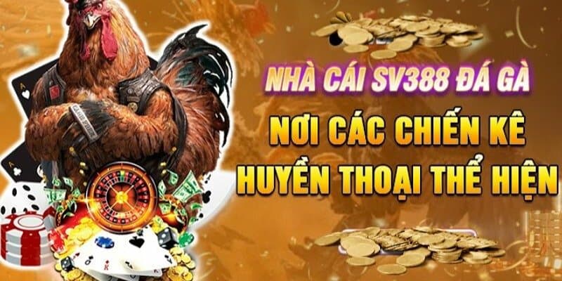 Ưu điểm của trang đá gà online SV388