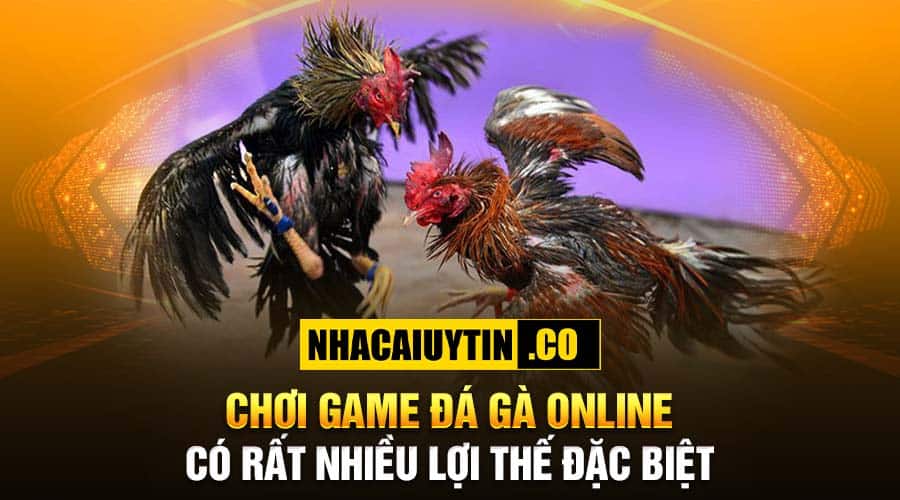 Chơi game đá gà online có rất nhiều lợi thế đặc biệt